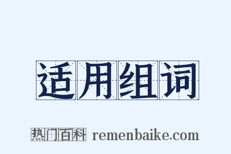 适用组词是什么意思的图片